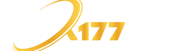 six177 logo